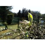 Фотографии пользователя HTC Desire 12 Dual SIM Фотографии пользователя HTC Desire 12 Dual SIM