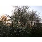 Фотографии пользователя HTC Desire 12 Dual SIM Фотографии пользователя HTC Desire 12 Dual SIM