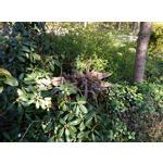 Фотографии пользователя HTC Desire 12 Dual SIM Фотографии пользователя HTC Desire 12 Dual SIM