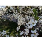 Фотографии пользователя HTC Desire 12 Dual SIM Фотографии пользователя HTC Desire 12 Dual SIM