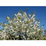 Фотографии пользователя HTC Desire 12 Dual SIM Фотографии пользователя HTC Desire 12 Dual SIM