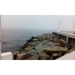 來自這款手機的圖片