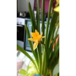 Фотографии пользователя HTC Desire 620 Фотографии пользователя HTC Desire 620