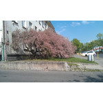 用戶照片 HTC Desire S