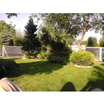 PICTURES FROM THIS PHONE