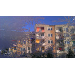 PICTURES FROM THIS PHONE