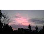 PICTURES FROM THIS PHONE