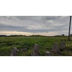 來自這款手機的圖片