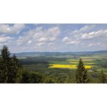 來自這款手機的圖片