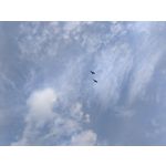 FOTO FATTE CON QUESTO TELEFONO