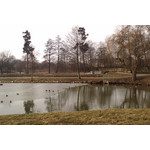 來自這款手機的圖片