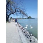 來自這款手機的圖片