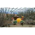 FOTO'S VAN DEZE TELEFOON