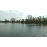 Pictures by this phone HTC One M9