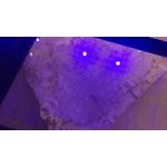 Pictures by this phone HTC One M9