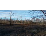 Pictures by this phone HTC One M9