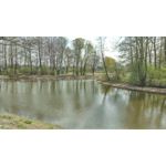 Pictures by this phone HTC One M9