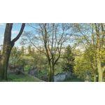 Pictures by this phone HTC One M9