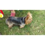 Pictures by this phone HTC One M9