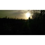 Pictures by this phone HTC One M9