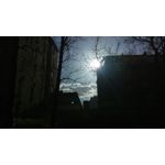 Pictures by this phone HTC One M9