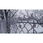 Pictures by this phone HTC One M9