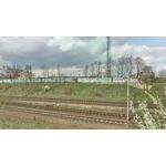 Pictures by this phone HTC One M9