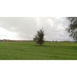 Pictures by this phone HTC One M9