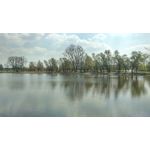 Pictures by this phone HTC One M9