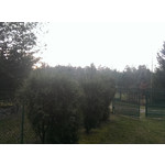 Imágenes de los usuarios HTC One Max