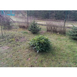 Imágenes de los usuarios HTC One Max