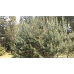 用户照片 HTC One mini 2