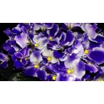 用户照片 HTC One mini 2