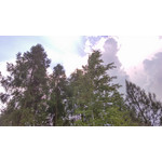 用户照片 HTC One mini 2