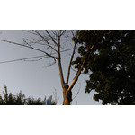 用户照片 HTC One mini 2