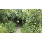 用户照片 HTC One mini 2