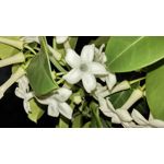 用户照片 HTC One mini 2