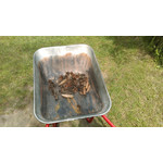 用户照片 HTC One mini 2