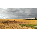 Imágenes de los usuarios HTC One S