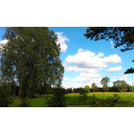 用户照片 HTC One V