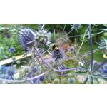 来自这款手机的图片