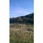 来自这款手机的图片