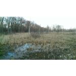 来自这款手机的图片