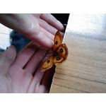 Selbst von Nutzern gemachte Bilder HTC P3702