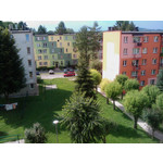 来自这款手机的图片