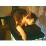 FOTO'S VAN DEZE TELEFOON