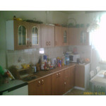 来自这款手机的图片