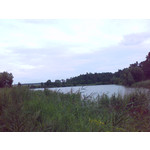 Imágenes de los usuarios HTC SPV M650