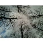 來自這款手機的圖片