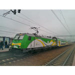 來自這款手機的圖片